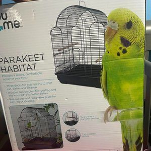Bird Cage
